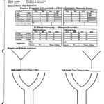 Transcranial Doppler Form – Peripheral Brain Throughout Carotid Ultrasound Report Template