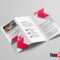 Travel Brochure Template Google Docs