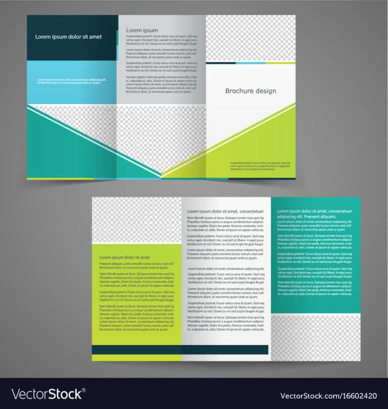 Tri Fold Business Brochure Template Two Sided Vector Image In Double
