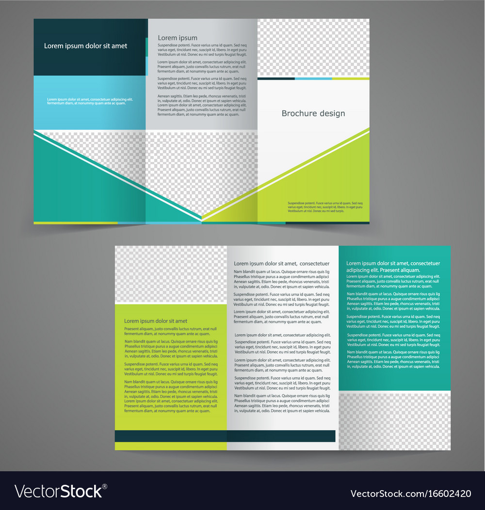 Tri Fold Business Brochure Template Two Sided Vector Image In Double Sided Tri Fold Brochure Template