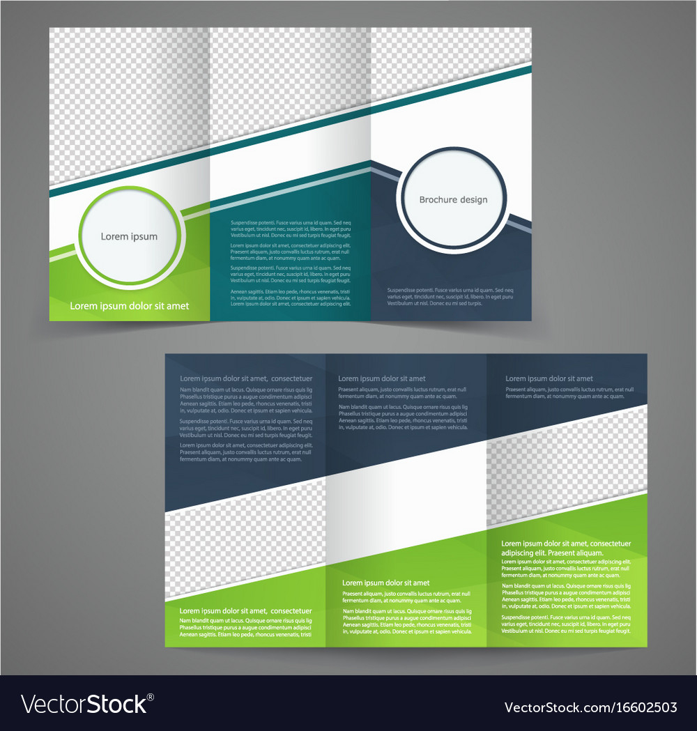 Tri Fold Business Brochure Template Two Sided Vector Image With Double Sided Tri Fold Brochure Template