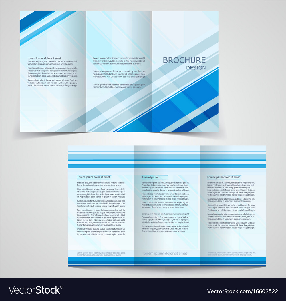 Tri-fold business brochure template two-sided Vector Image Within Double Sided Tri Fold Brochure Template