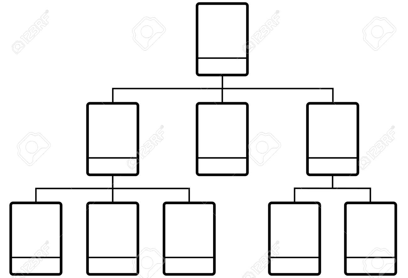 Vector Illustration Of A Business Organization Structure, Simple  Within Free Blank Organizational Chart Template