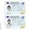 Vector Template Of Sample Driver License Plastic Card For Pertaining To Blank Drivers License Template
