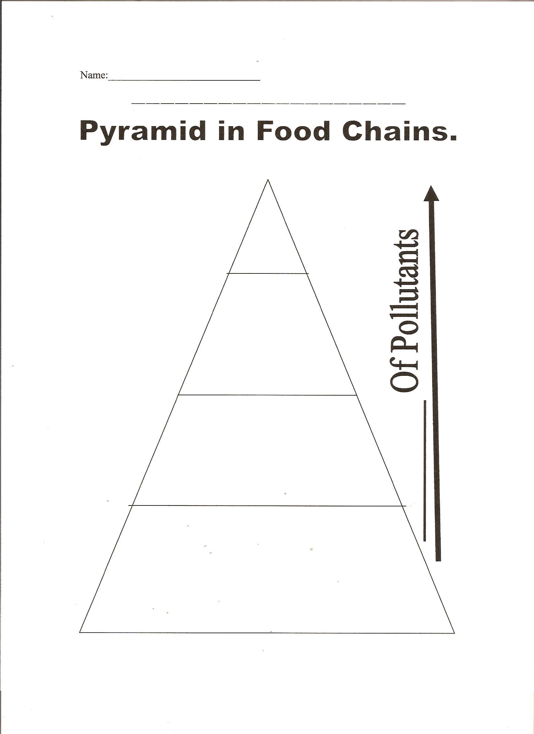 Water Pollution and Food Chains  Education  Fandom In Blank Food Web Template