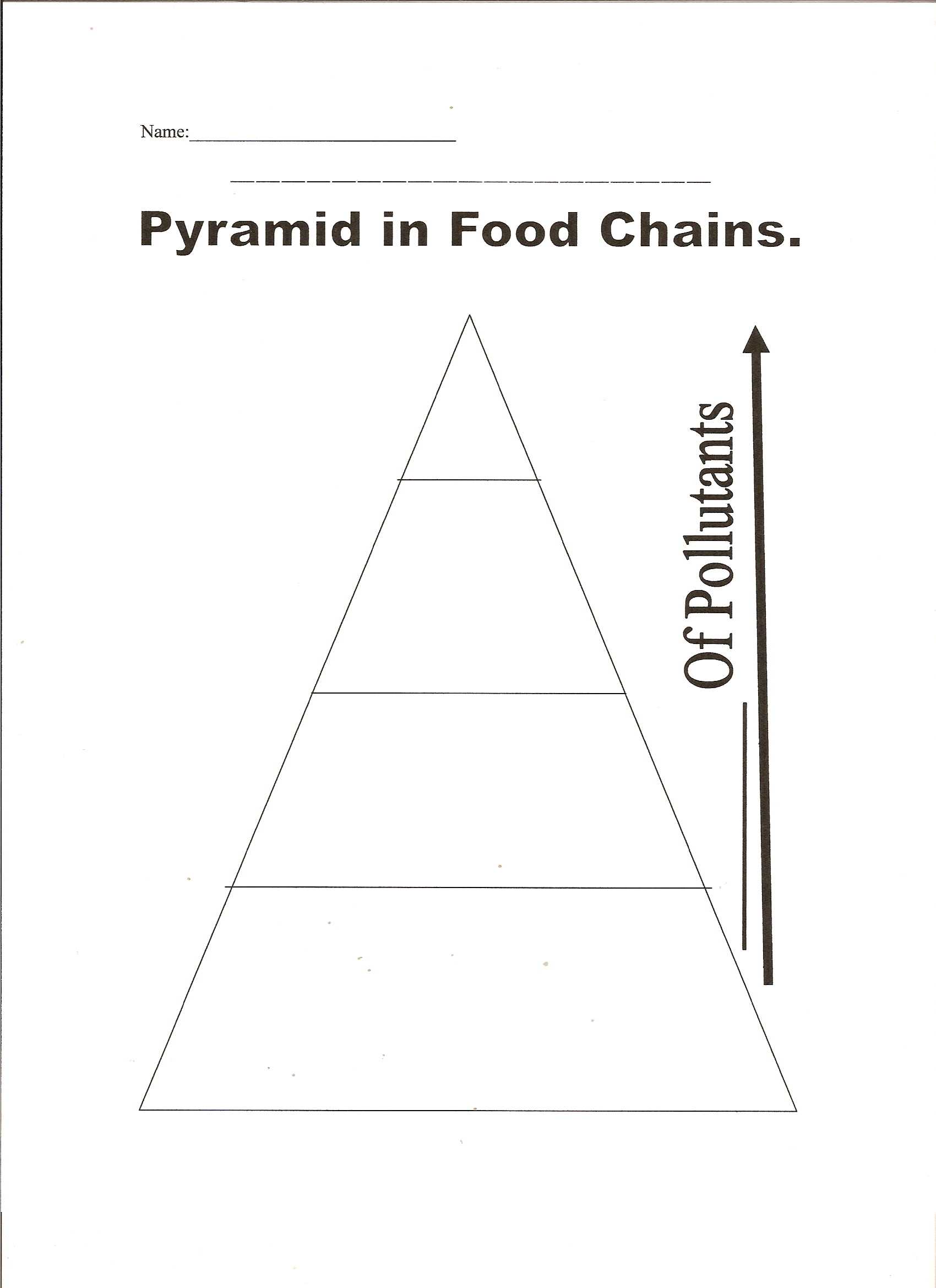 Water Pollution And Food Chains  Education  Fandom In Blank Food Web Template