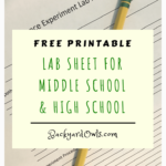 Why & How To Keep Lab Reports + Free Printable Lab Sheet  In Lab Report Template Middle School
