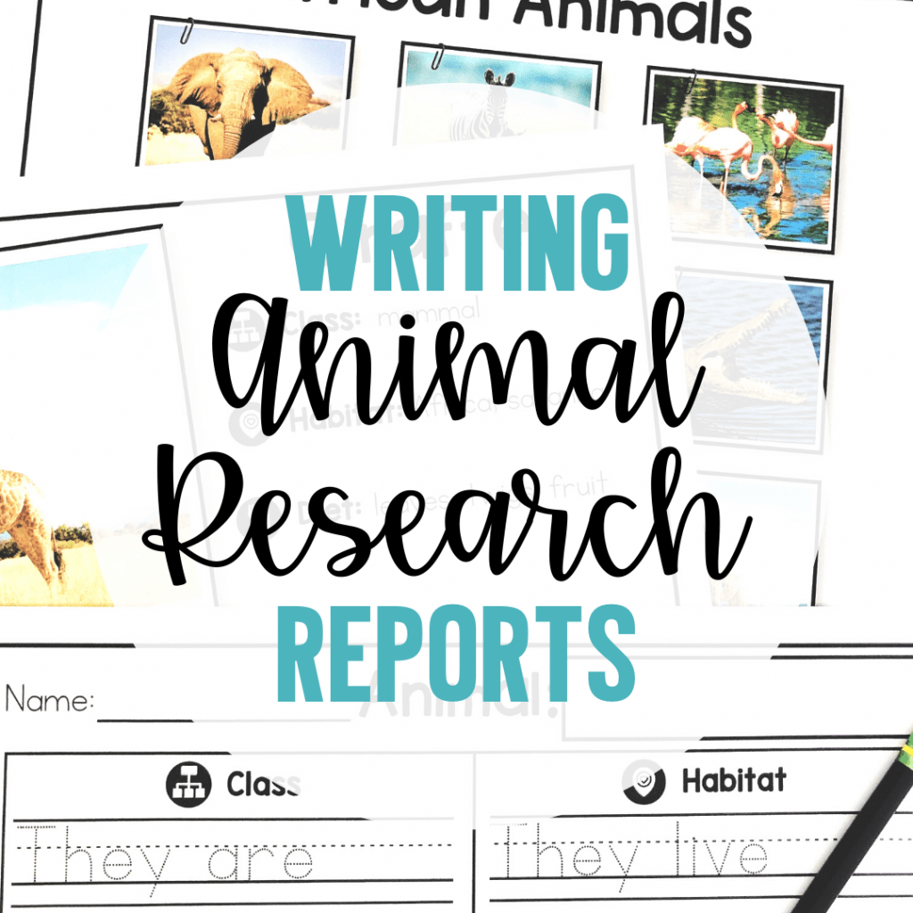 Writing Animal Reports In The Primary Grades – The Teacher Bag In Animal Report Template