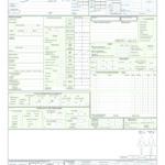 Zinara Acquittal Report Sample – Fill Online, Printable, Fillable  In Acquittal Report Template