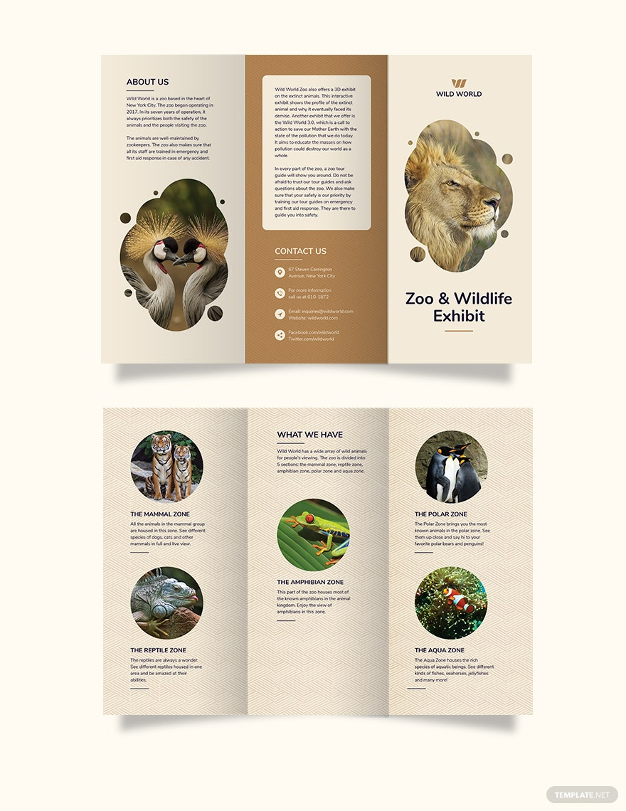 Zoo Tri Fold Brochure Template – Illustrator, InDesign, Word, Apple  With Regard To Zoo Brochure Template